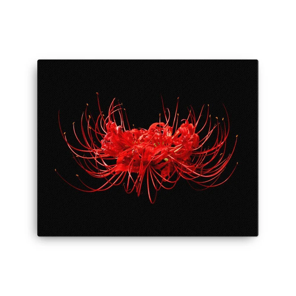 https://i.etsystatic.com/16519884/r/il/0daf07/2184725067/il_fullxfull.2184725067_dp55.jpg