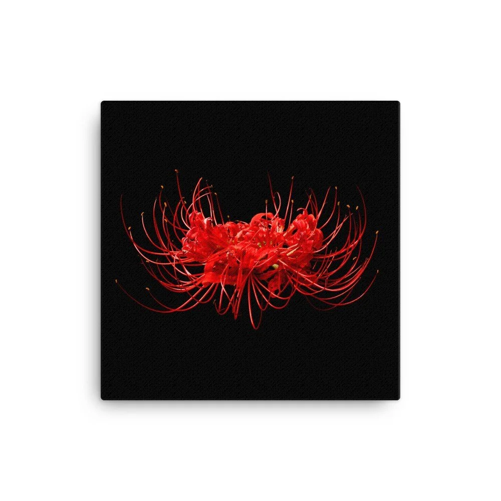 https://i.etsystatic.com/16519884/r/il/cac566/2184724587/il_fullxfull.2184724587_jri1.jpg