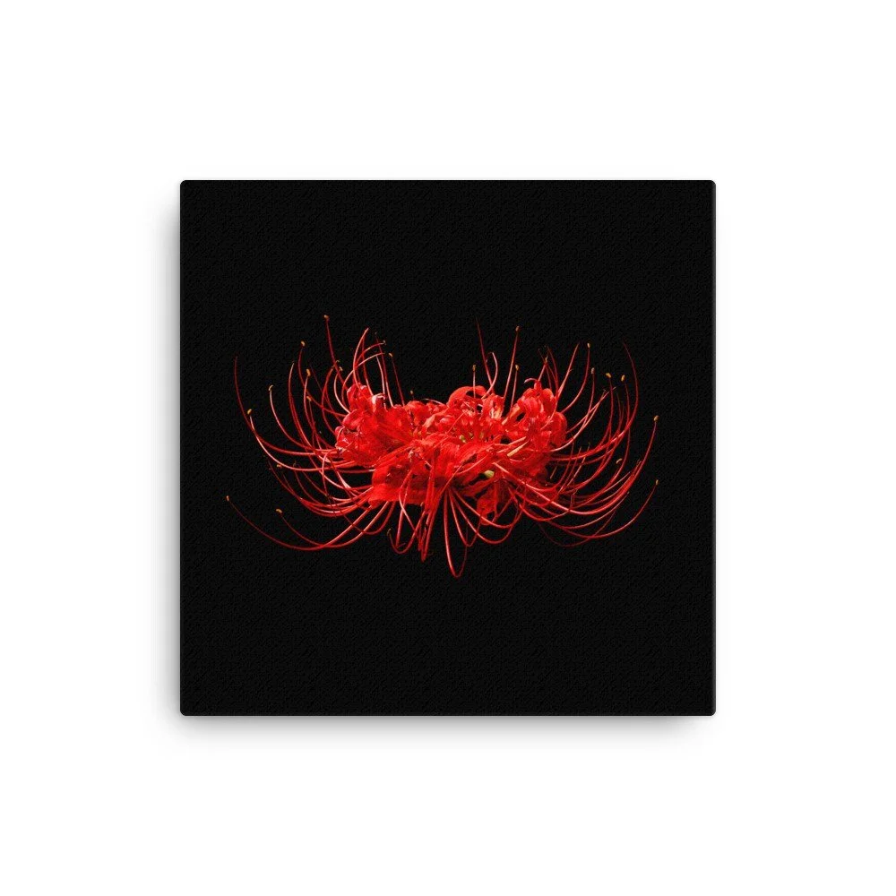https://i.etsystatic.com/16519884/r/il/e858d5/2184724521/il_fullxfull.2184724521_n69i.jpg