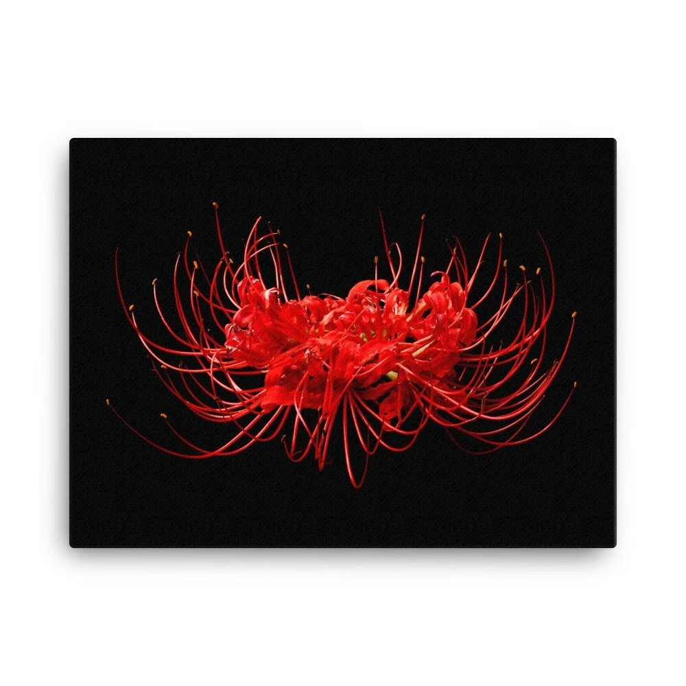 https://i.etsystatic.com/16519884/r/il/b1df08/2137173304/il_fullxfull.2137173304_mter.jpg