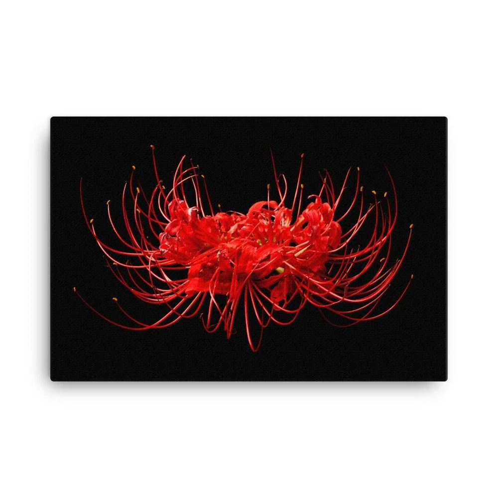 https://i.etsystatic.com/16519884/r/il/cc9d58/2184724397/il_fullxfull.2184724397_7g13.jpg