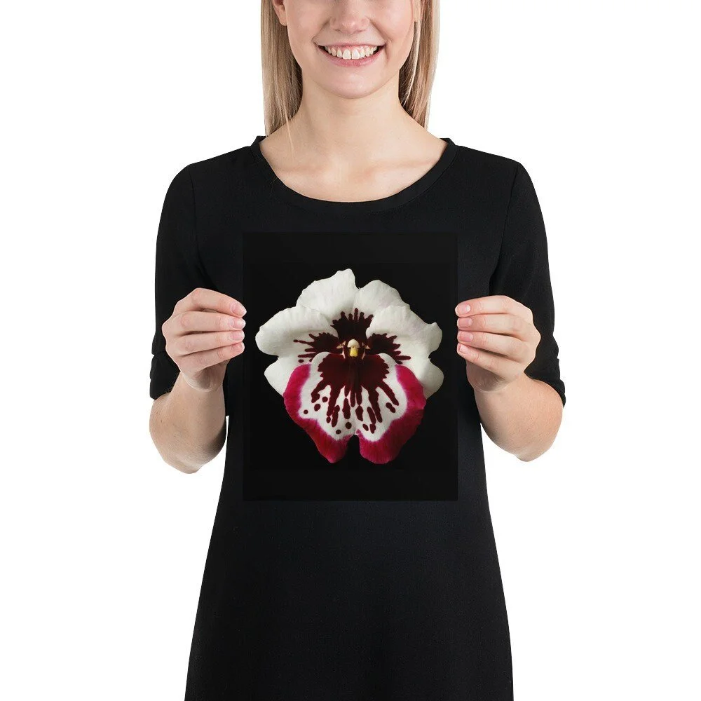 https://i.etsystatic.com/16519884/r/il/37320f/2080008067/il_fullxfull.2080008067_83uk.jpg