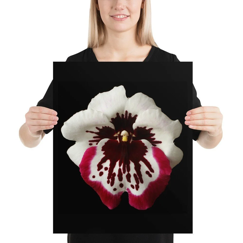 https://i.etsystatic.com/16519884/r/il/281e09/2080007739/il_fullxfull.2080007739_dngx.jpg