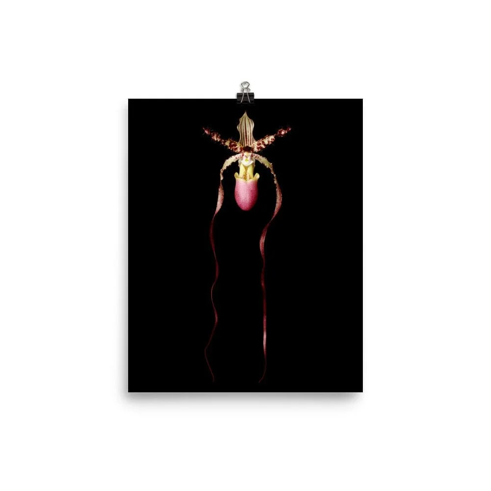 https://i.etsystatic.com/16519884/r/il/6bcd56/2160935138/il_fullxfull.2160935138_fkmm.jpg