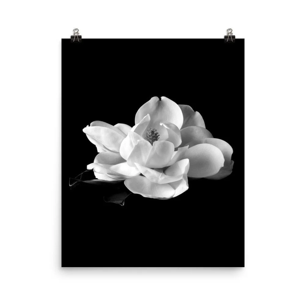 https://i.etsystatic.com/16519884/r/il/8b71cb/2770641592/il_fullxfull.2770641592_4v4p.jpg