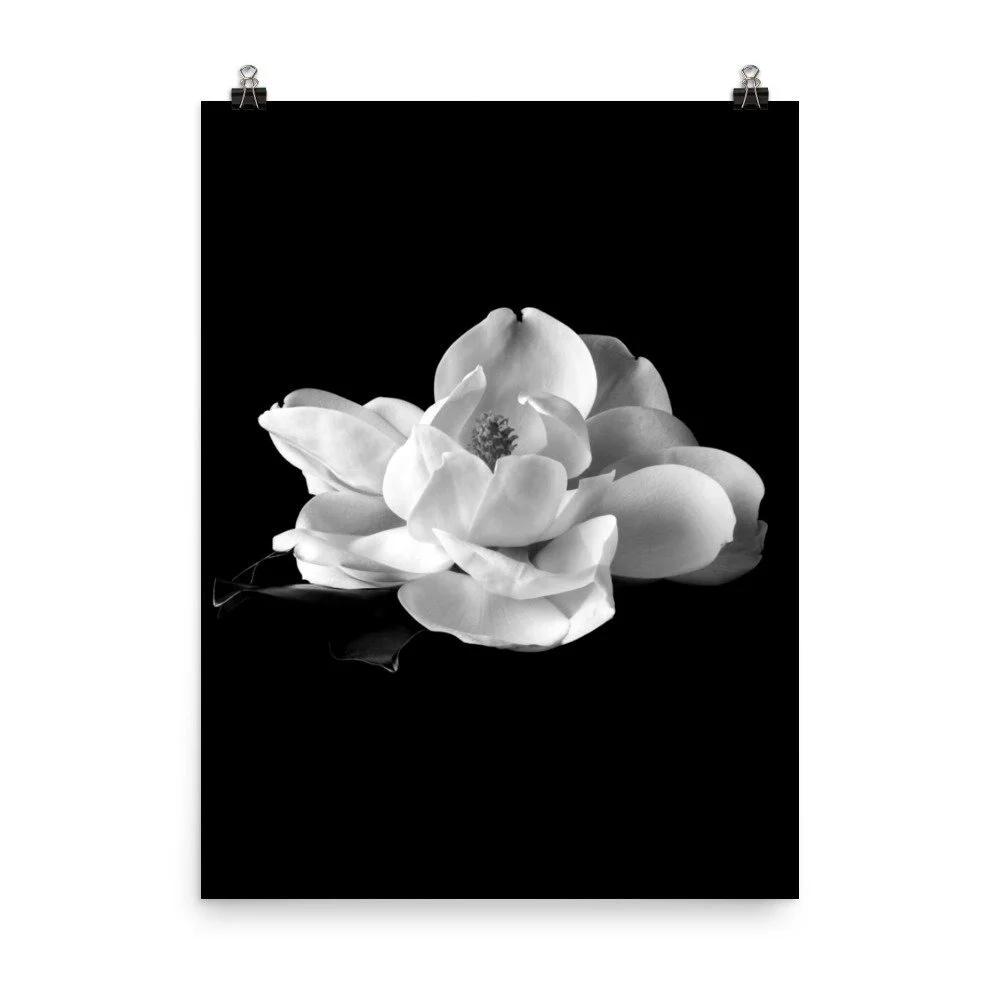 https://i.etsystatic.com/16519884/r/il/2128c3/2770640490/il_fullxfull.2770640490_fkpz.jpg