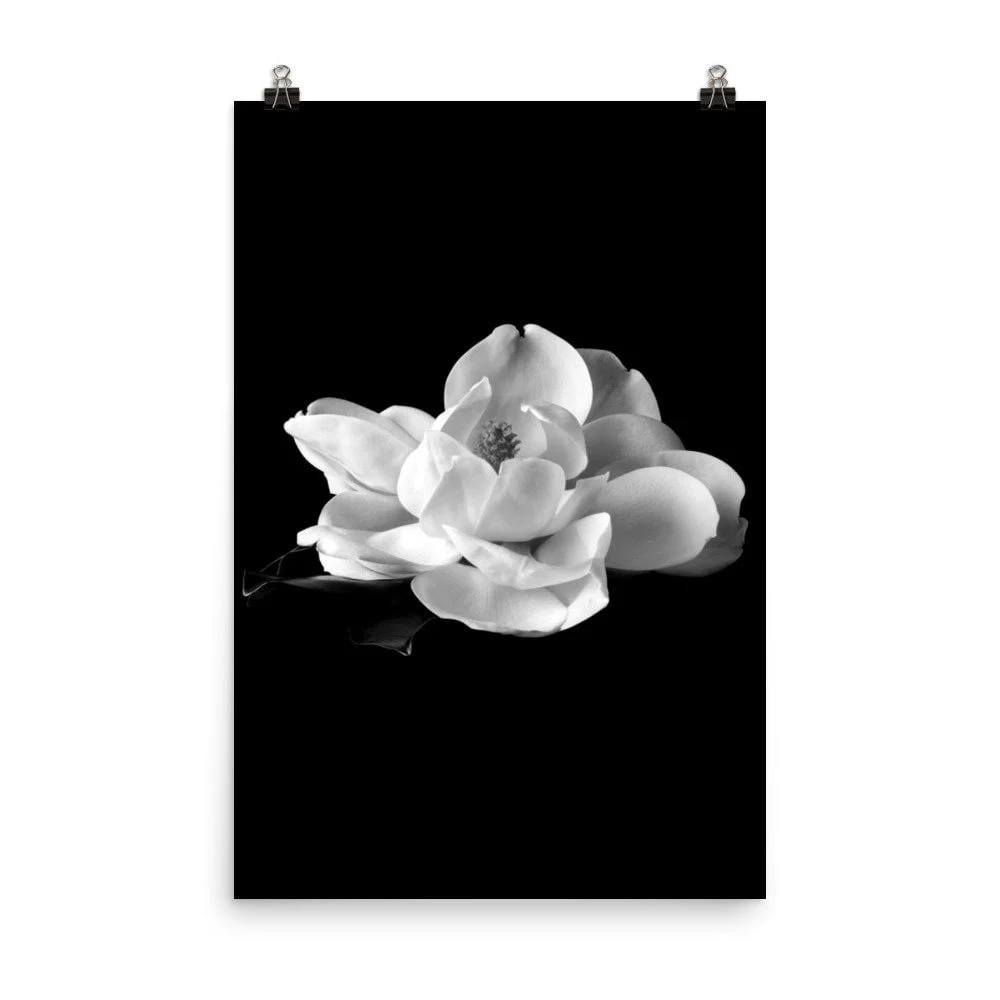 https://i.etsystatic.com/16519884/r/il/d78d4f/2818325059/il_fullxfull.2818325059_ex2q.jpg