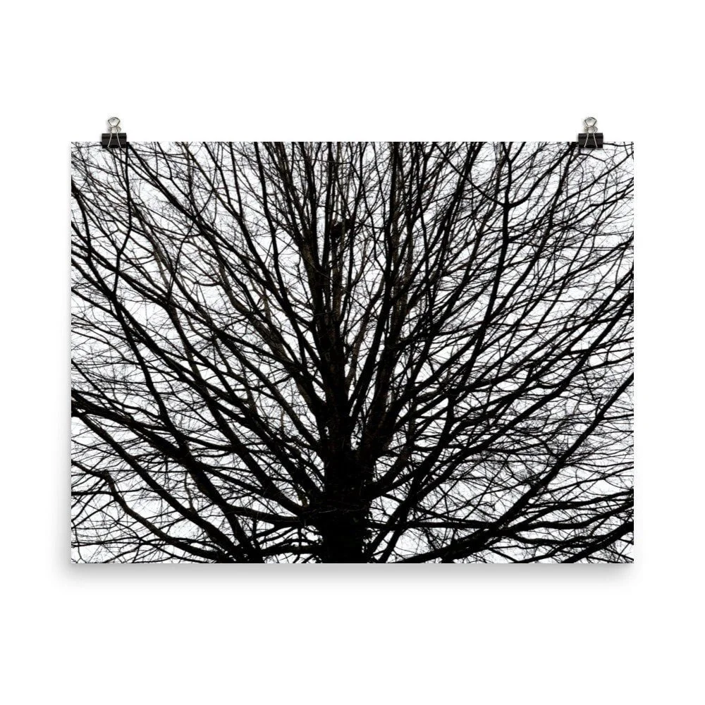 https://i.etsystatic.com/16519884/r/il/d5e031/3584243784/il_fullxfull.3584243784_edws.jpg