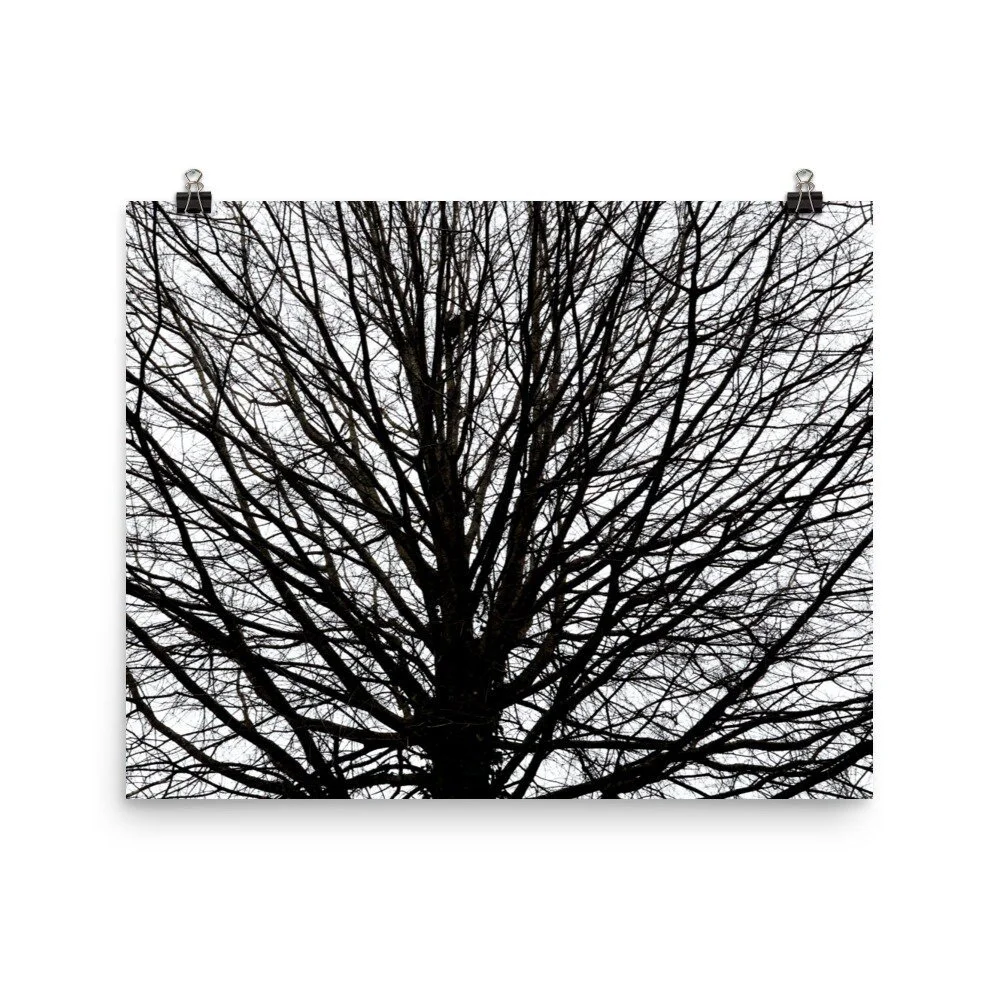 https://i.etsystatic.com/16519884/r/il/cd9ba1/3584236656/il_fullxfull.3584236656_59e5.jpg