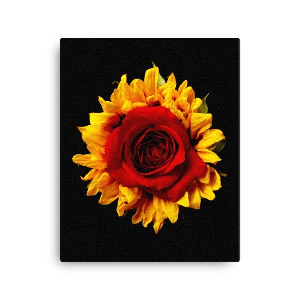 https://i.etsystatic.com/16519884/r/il/f2dbe9/4046357793/il_fullxfull.4046357793_dafb.jpg