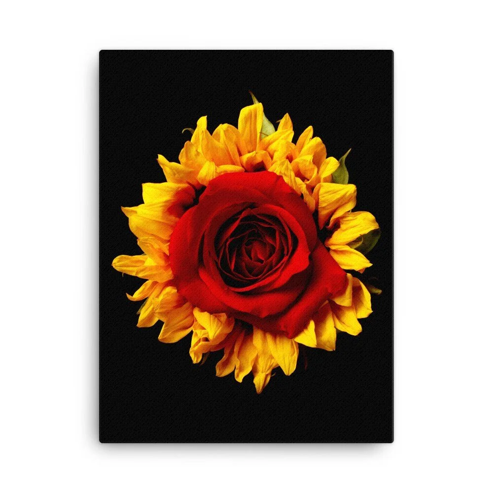 https://i.etsystatic.com/16519884/r/il/afbf9d/3998710254/il_fullxfull.3998710254_g7rf.jpg