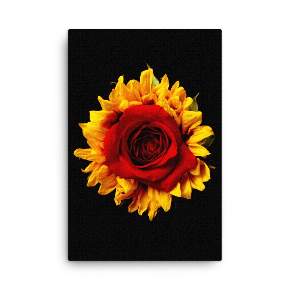 https://i.etsystatic.com/16519884/r/il/13f052/3998710228/il_fullxfull.3998710228_k89d.jpg