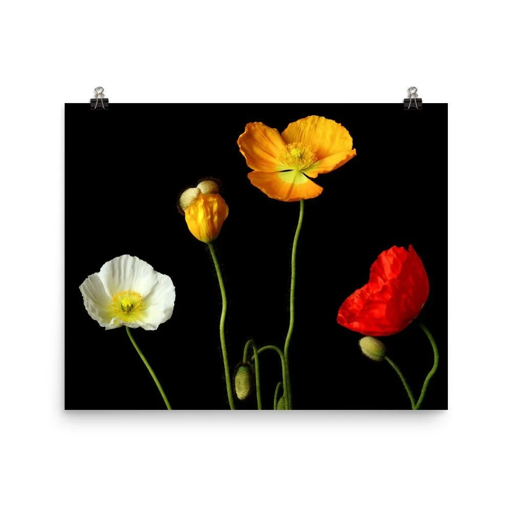 https://i.etsystatic.com/16519884/r/il/b9658e/2433376996/il_fullxfull.2433376996_jfxm.jpg