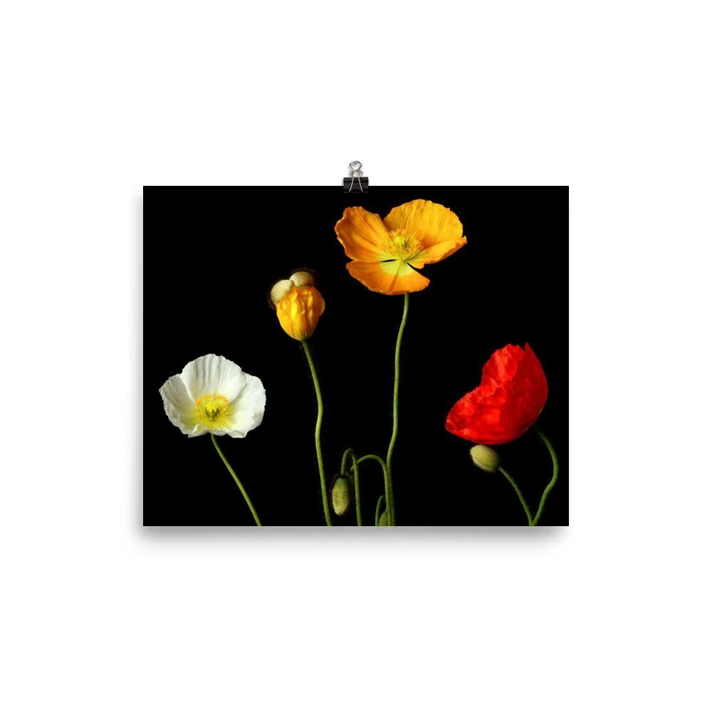 https://i.etsystatic.com/16519884/r/il/b1641a/2481004945/il_fullxfull.2481004945_k04p.jpg
