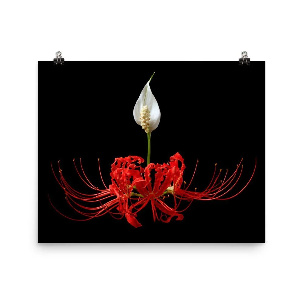 https://i.etsystatic.com/16519884/r/il/5d271a/2488781811/il_fullxfull.2488781811_109u.jpg