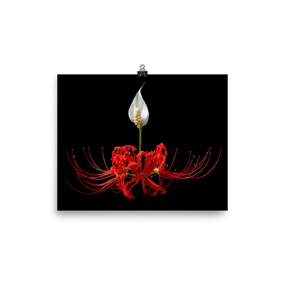 https://i.etsystatic.com/16519884/r/il/7a0711/2488780841/il_fullxfull.2488780841_ott7.jpg