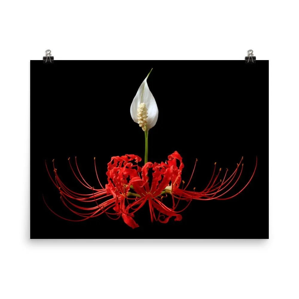 https://i.etsystatic.com/16519884/r/il/b9c084/2441151410/il_fullxfull.2441151410_of55.jpg
