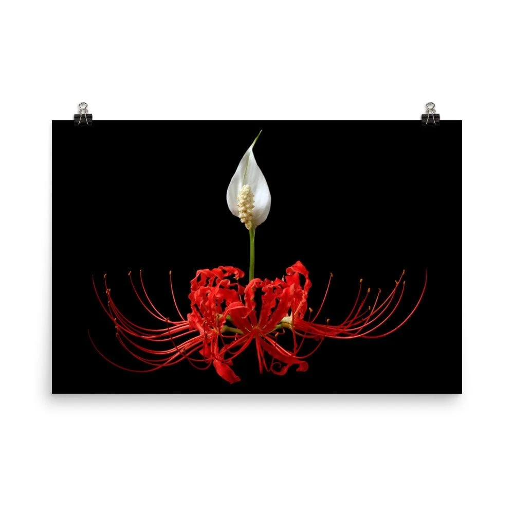 https://i.etsystatic.com/16519884/r/il/24e932/2441151354/il_fullxfull.2441151354_gxro.jpg
