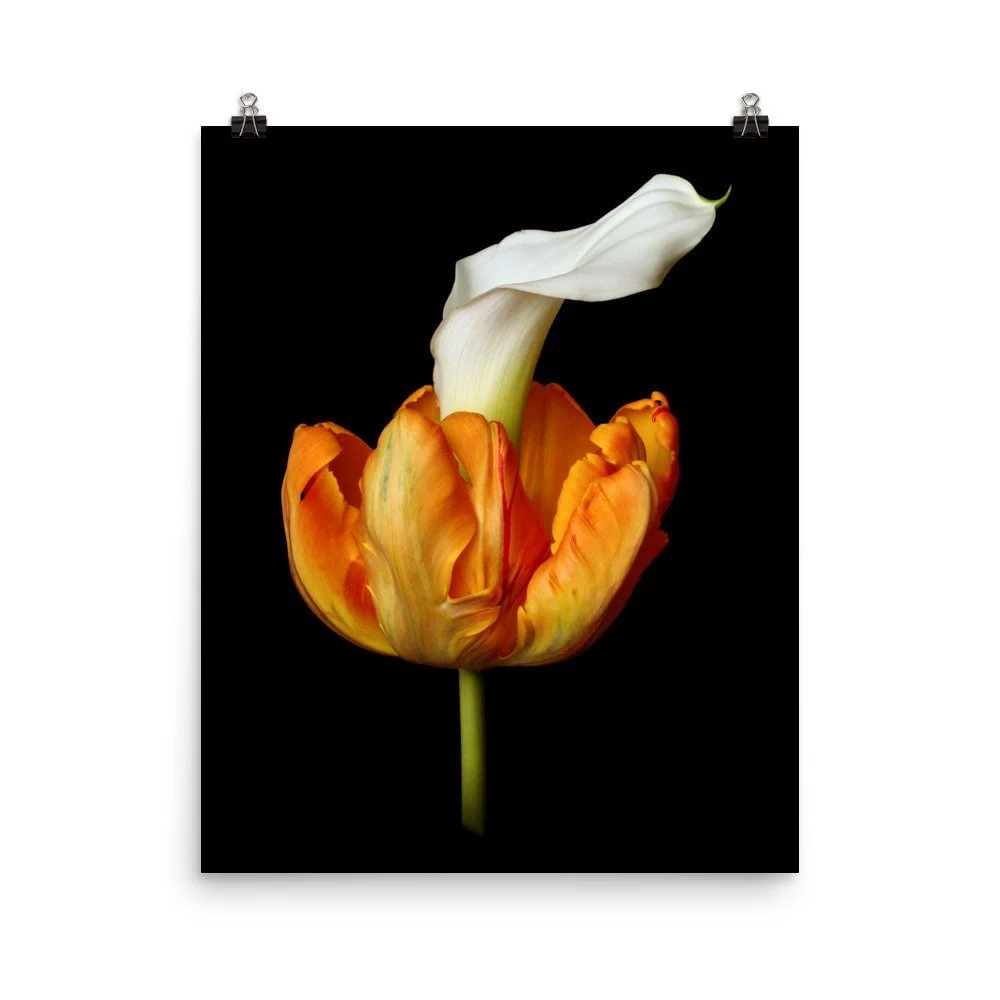 https://i.etsystatic.com/16519884/r/il/750975/2489138667/il_fullxfull.2489138667_61jq.jpg