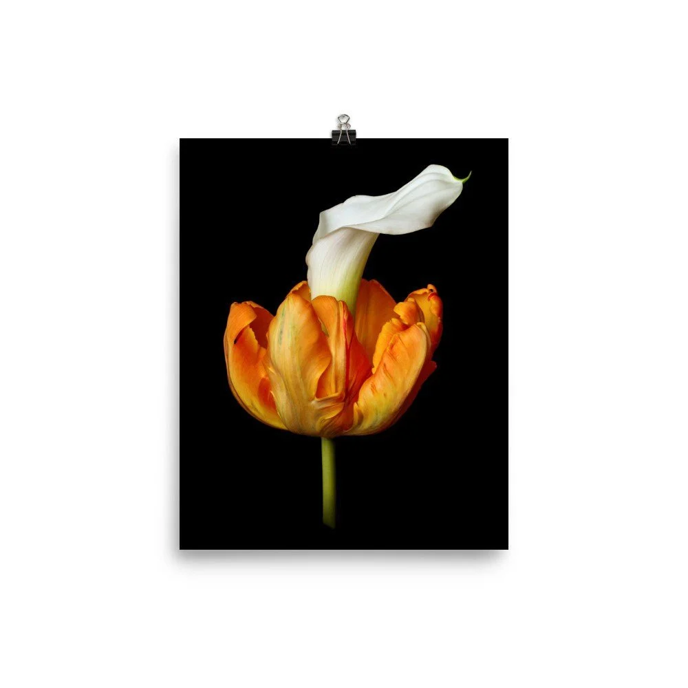 https://i.etsystatic.com/16519884/r/il/00c7c3/2489137895/il_fullxfull.2489137895_7uys.jpg