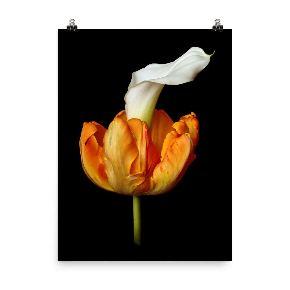 https://i.etsystatic.com/16519884/r/il/fd20c3/2489137859/il_fullxfull.2489137859_c4u9.jpg