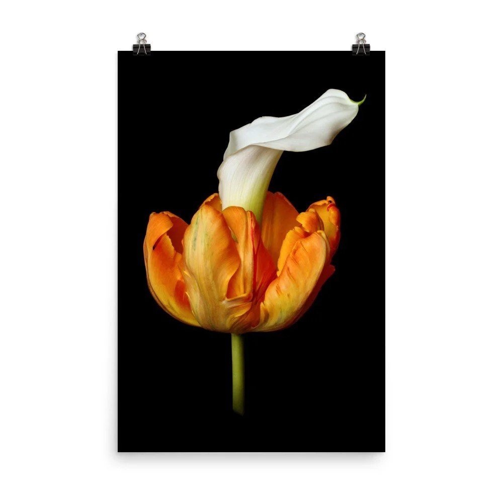 https://i.etsystatic.com/16519884/r/il/865f5d/2489137825/il_fullxfull.2489137825_t4fe.jpg