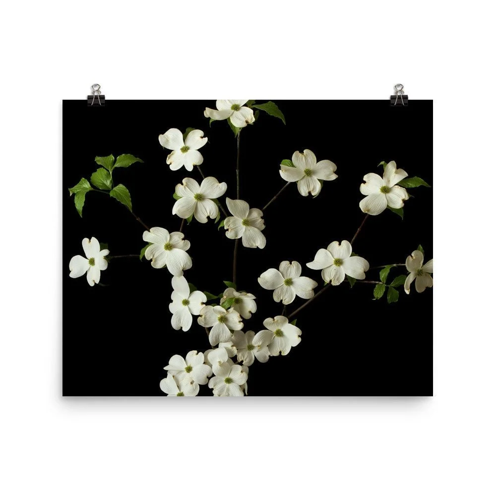 https://i.etsystatic.com/16519884/r/il/f04479/2480348125/il_fullxfull.2480348125_t79h.jpg