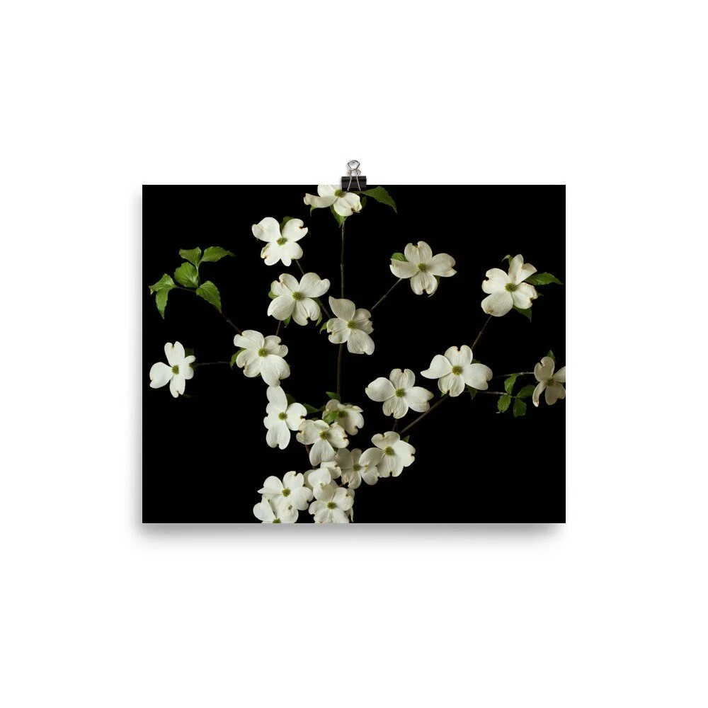 https://i.etsystatic.com/16519884/r/il/e8134a/2480347157/il_fullxfull.2480347157_9u34.jpg