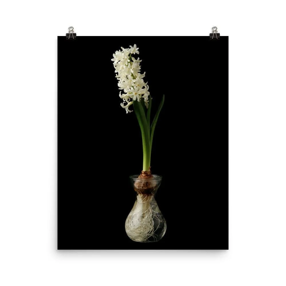 https://i.etsystatic.com/16519884/r/il/14c3eb/2481443211/il_fullxfull.2481443211_c0r2.jpg