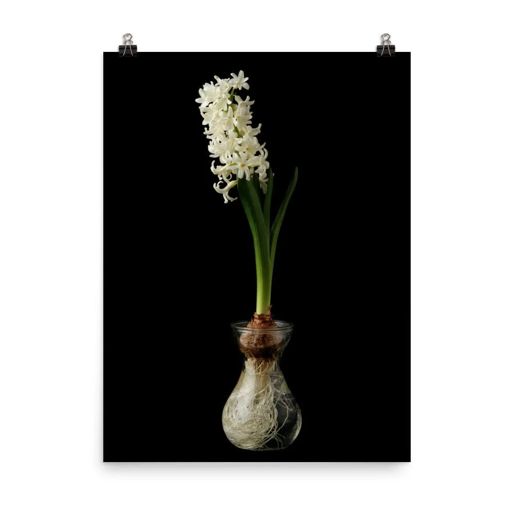 https://i.etsystatic.com/16519884/r/il/d90206/2481441835/il_fullxfull.2481441835_5i8b.jpg
