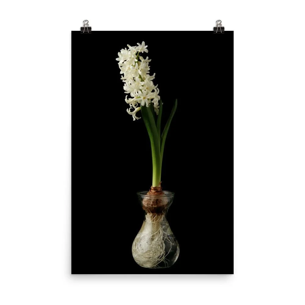 https://i.etsystatic.com/16519884/r/il/a561b0/2481441769/il_fullxfull.2481441769_m05d.jpg