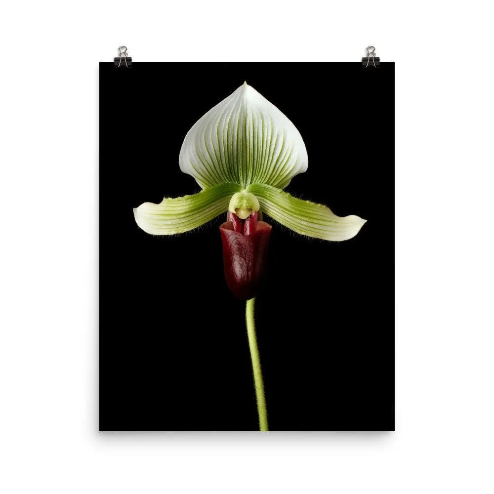 https://i.etsystatic.com/16519884/r/il/5249ea/2434000390/il_fullxfull.2434000390_l0q2.jpg