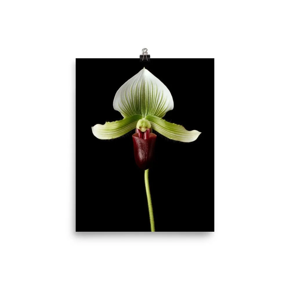 https://i.etsystatic.com/16519884/r/il/107ca3/2433999328/il_fullxfull.2433999328_6ism.jpg