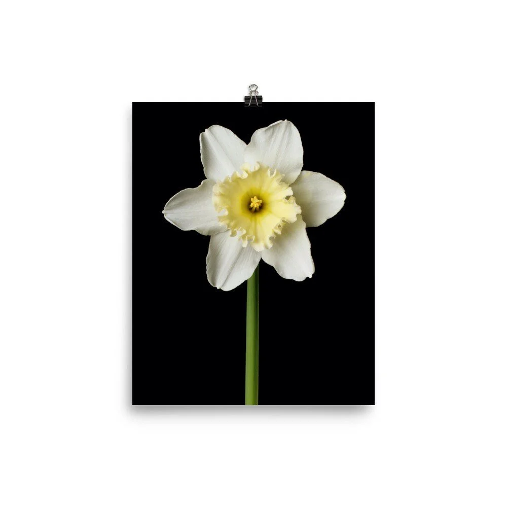 https://i.etsystatic.com/16519884/r/il/adccd3/2484878725/il_fullxfull.2484878725_5o69.jpg