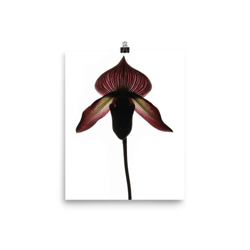 https://i.etsystatic.com/16519884/r/il/948113/2439166608/il_fullxfull.2439166608_i0jz.jpg