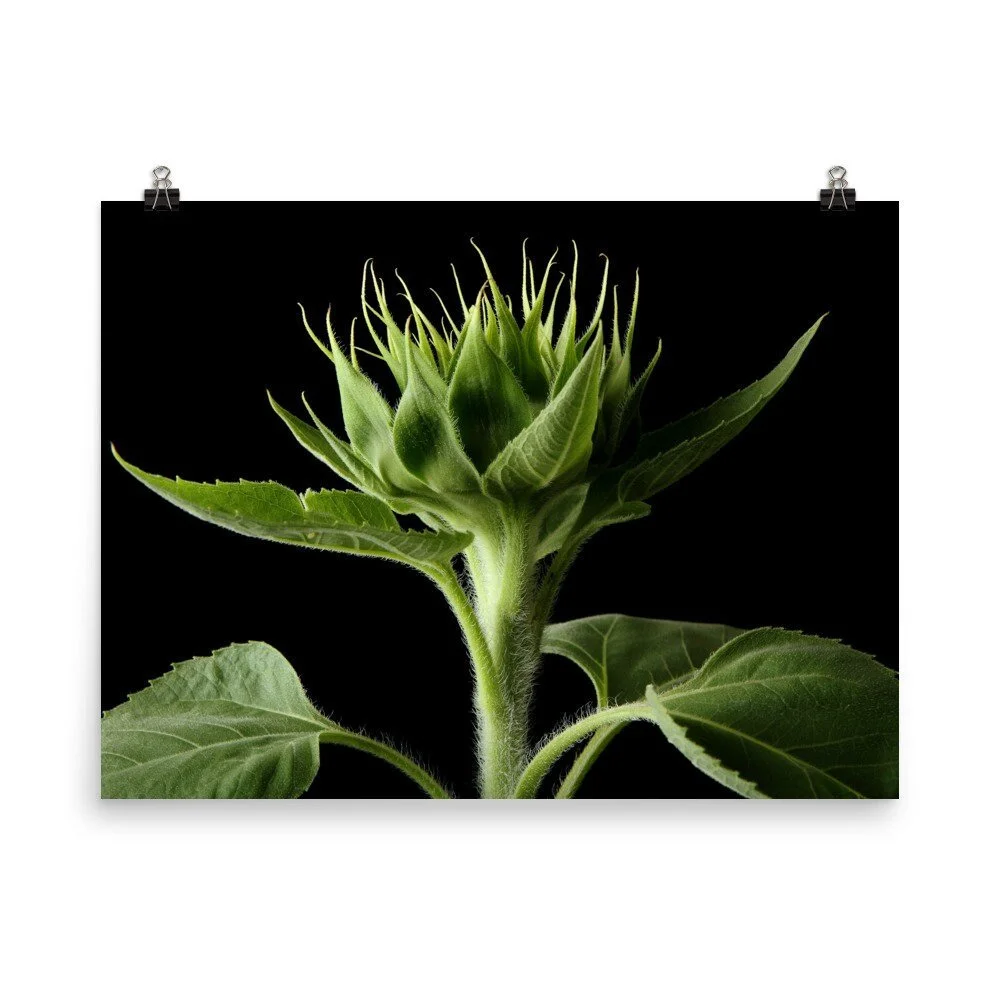https://i.etsystatic.com/16519884/r/il/923166/2488047701/il_fullxfull.2488047701_ev4r.jpg
