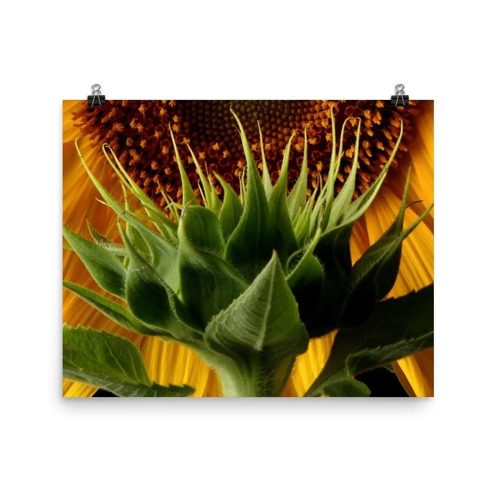 https://i.etsystatic.com/16519884/r/il/f5e5a8/2488071847/il_fullxfull.2488071847_elk9.jpg