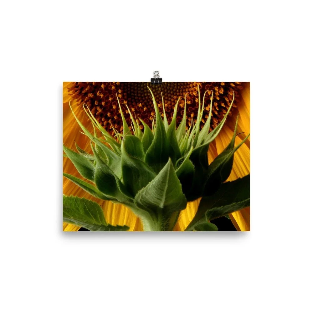 https://i.etsystatic.com/16519884/r/il/770a2d/2440440872/il_fullxfull.2440440872_1bkd.jpg