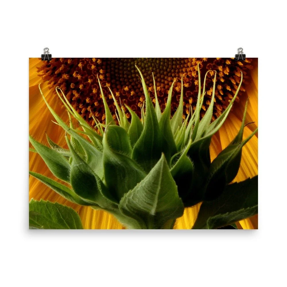 https://i.etsystatic.com/16519884/r/il/83fda1/2488071191/il_fullxfull.2488071191_bofg.jpg