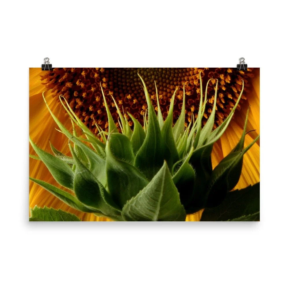 https://i.etsystatic.com/16519884/r/il/f18f7f/2440440800/il_fullxfull.2440440800_lgj8.jpg