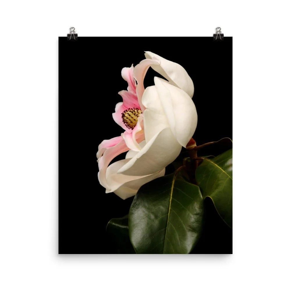 https://i.etsystatic.com/16519884/r/il/c267c7/4033616574/il_fullxfull.4033616574_ijha.jpg
