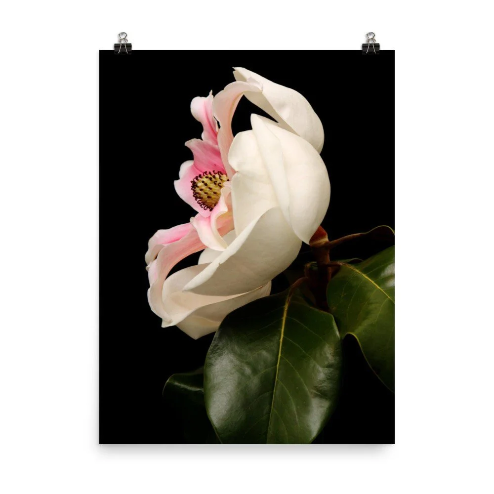 https://i.etsystatic.com/16519884/r/il/4a63da/4081261025/il_fullxfull.4081261025_4k0p.jpg