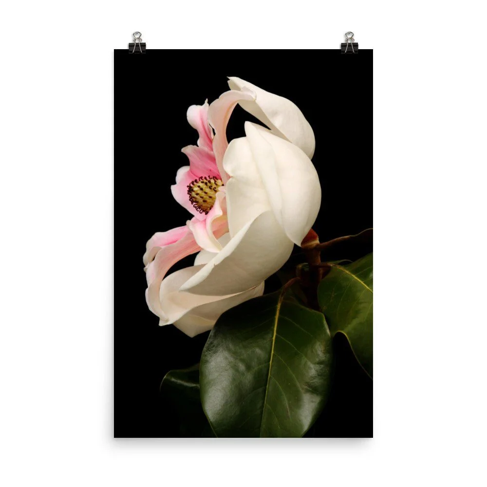 https://i.etsystatic.com/16519884/r/il/839286/4033615508/il_fullxfull.4033615508_hl7s.jpg