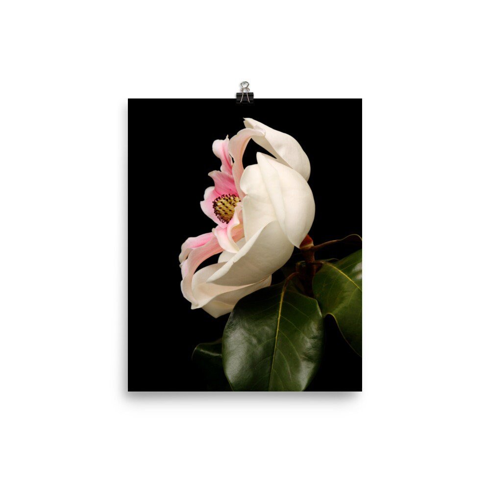 https://i.etsystatic.com/16519884/r/il/6fb02a/4033615484/il_fullxfull.4033615484_szip.jpg