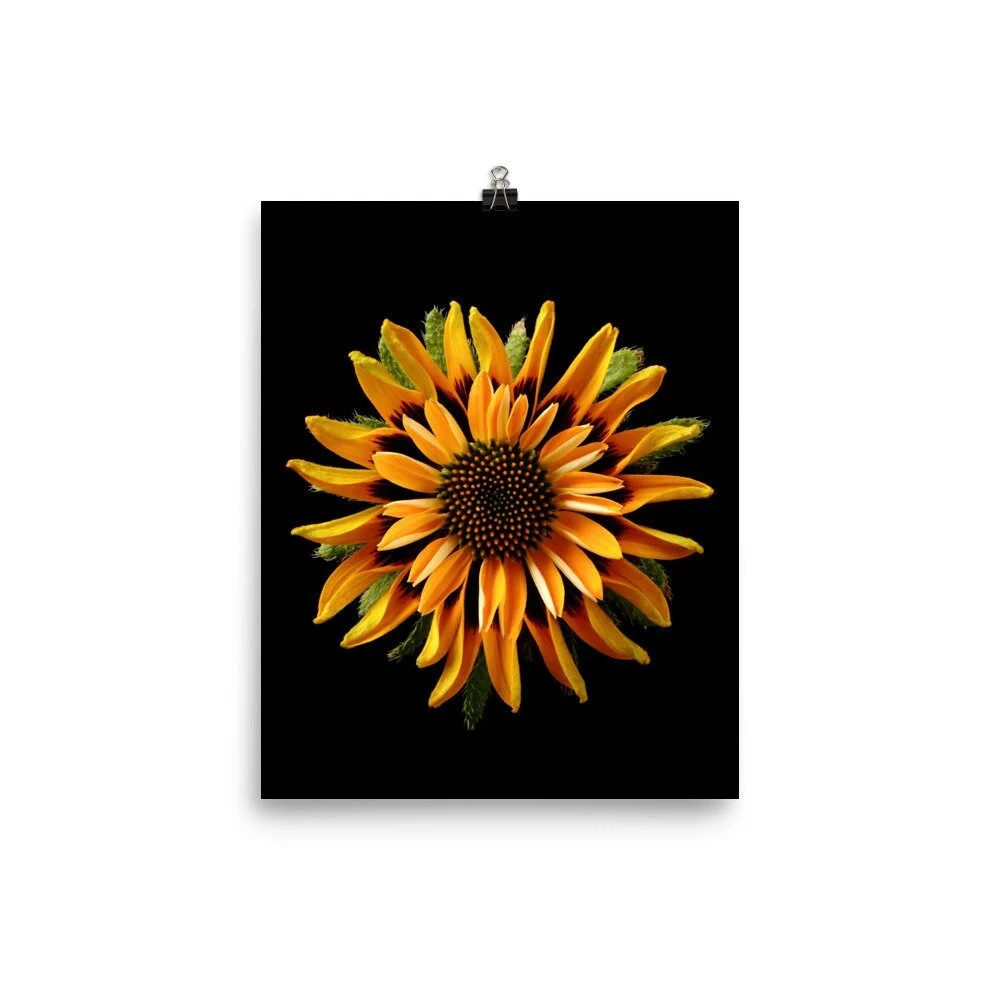 https://i.etsystatic.com/16519884/r/il/1556f4/2407040942/il_fullxfull.2407040942_a0nv.jpg