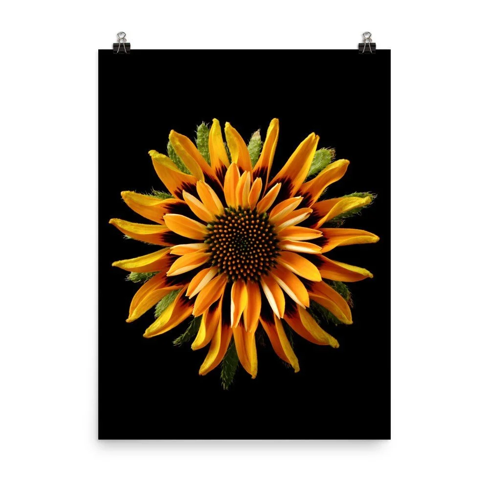 https://i.etsystatic.com/16519884/r/il/97f4f6/2454671003/il_fullxfull.2454671003_r1cn.jpg