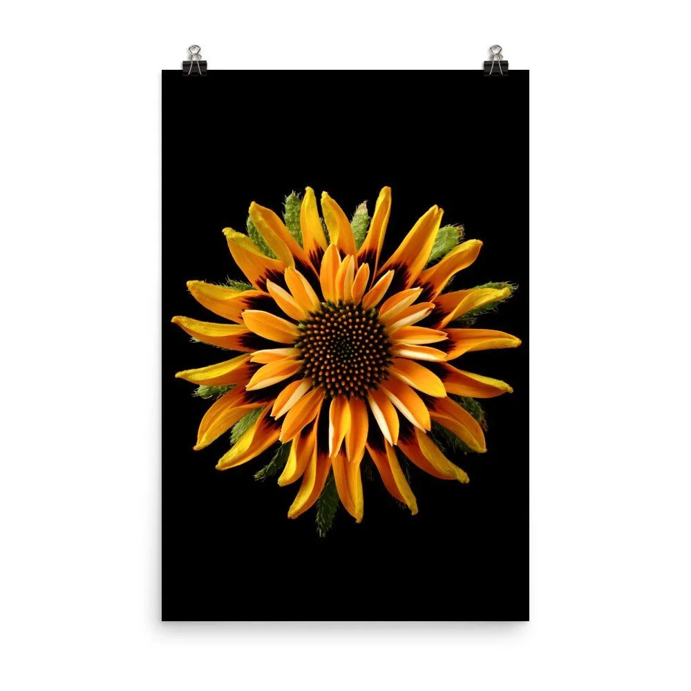 https://i.etsystatic.com/16519884/r/il/2eb3ff/2407040782/il_fullxfull.2407040782_8eim.jpg