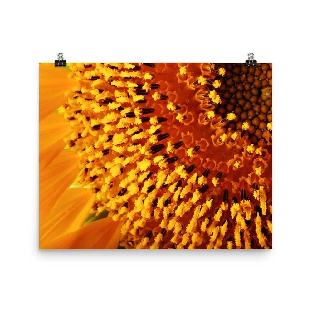https://i.etsystatic.com/16519884/r/il/0857c5/2468984065/il_fullxfull.2468984065_djkf.jpg