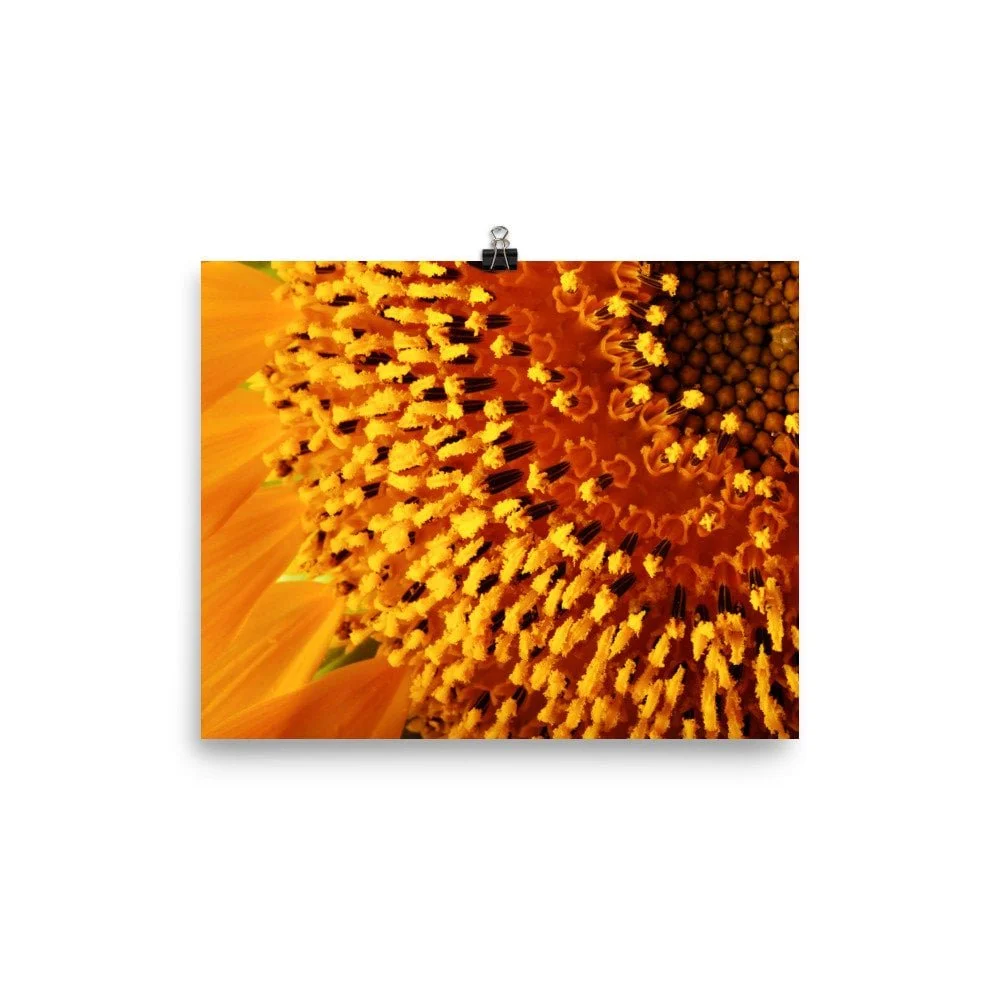 https://i.etsystatic.com/16519884/r/il/287a92/2468983031/il_fullxfull.2468983031_2g36.jpg