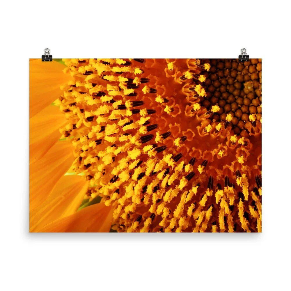 https://i.etsystatic.com/16519884/r/il/e164d5/2468982975/il_fullxfull.2468982975_ie13.jpg